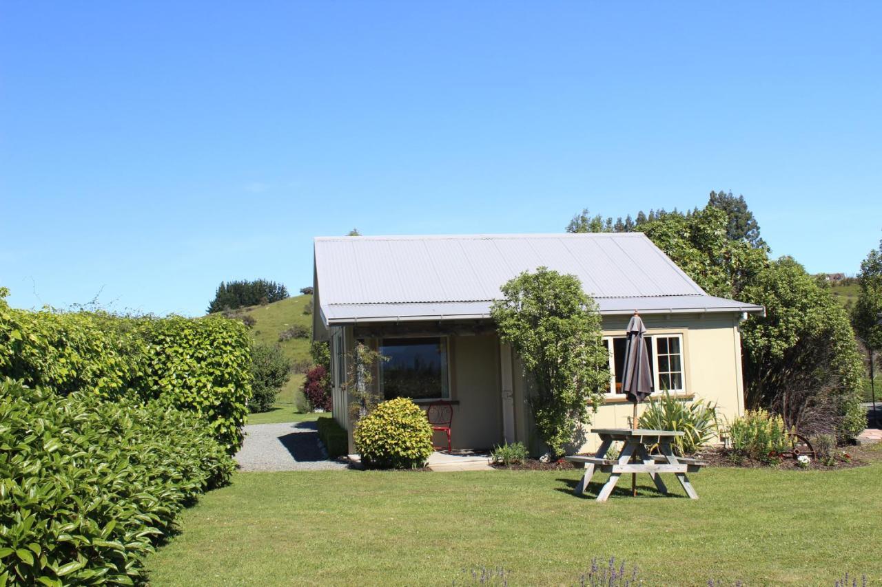 Blue Thistle Cottages Те Анау Екстериор снимка
